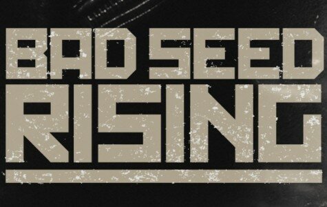 Bad Seed Rising to the top